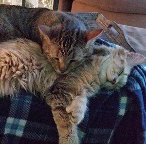 Meet your Posher, Karen